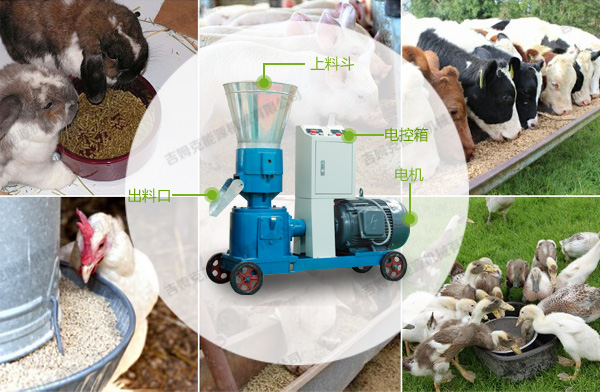 家用飼料顆粒機 家用飼料顆粒機